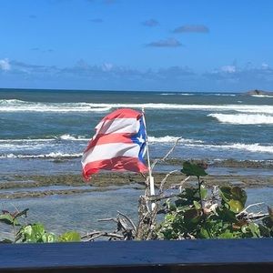 Meet your Posher, Wilma